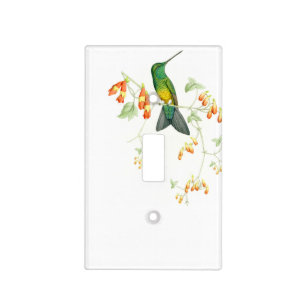 Hummingbird Birds Flowers Floral Wildlife Animals Light Switch Cover