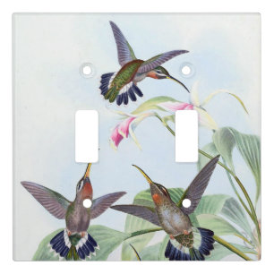 Hummingbird Birds Flowers Light Switch Cover