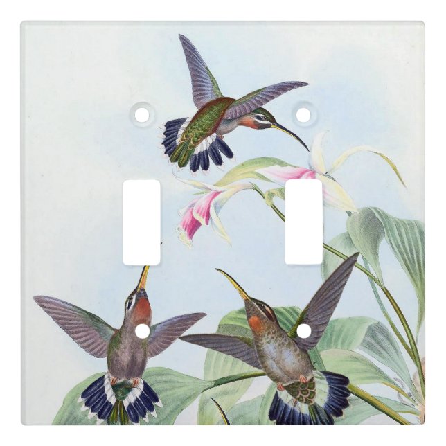 Hummingbird Birds Flowers Light Switch Cover (Front)
