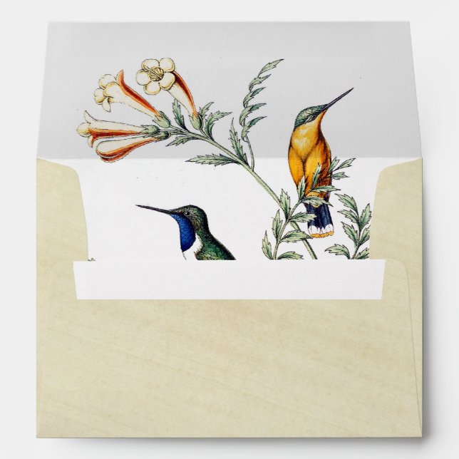 Hummingbird Birds Flowers Rice Paper Envelope (Back (Bottom))
