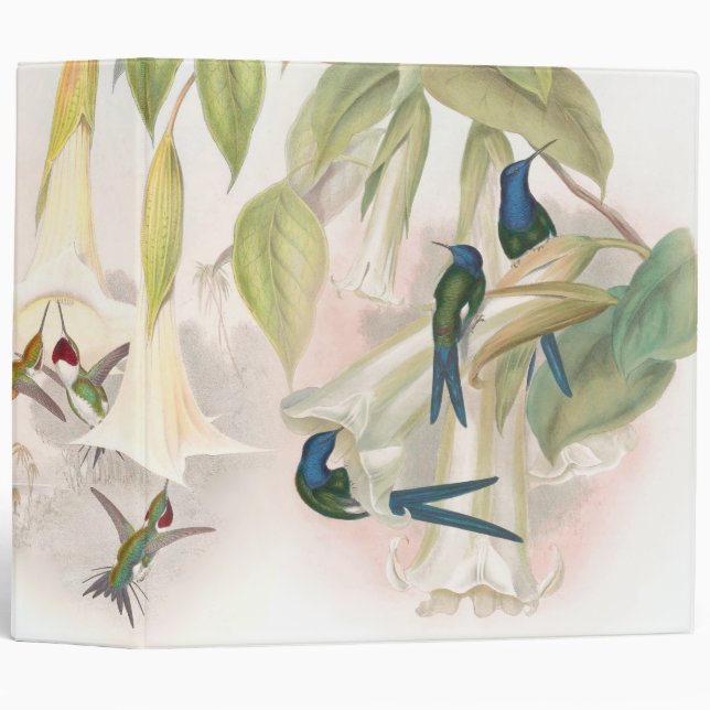 Hummingbird Birds Flowers Wildlife Floral Animals 3 Ring Binder (Front/Spine)