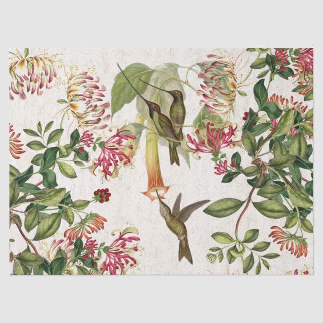Hummingbird Birds Honeysuckle Flowers Tissue Paper (Front)