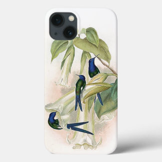 Hummingbird Birds iPhone 6 Case