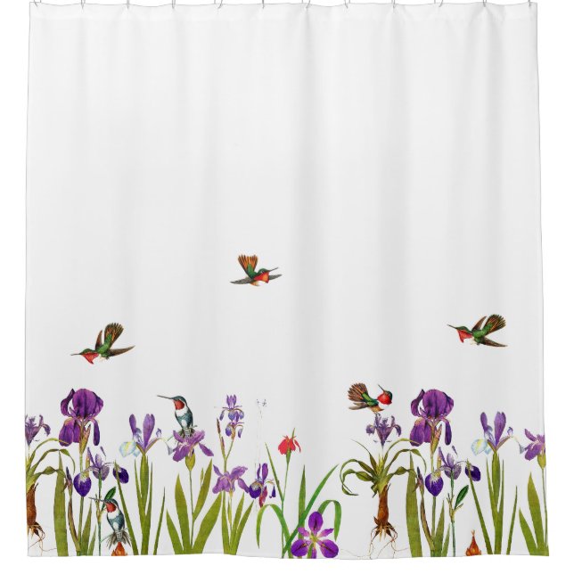 Hummingbird Birds Iris Flowers Shower Curtain (Front)