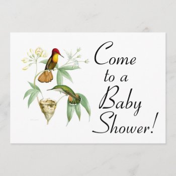 Hummingbird Birds & Nest Baby Shower Invitation by farmer77 at Zazzle
