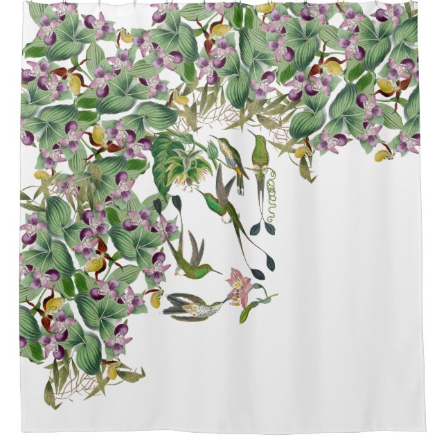 Hummingbird Birds Orchid Flowers Shower Curtain (Front)