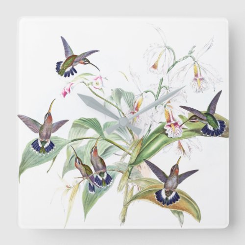 Hummingbird Birds Orchid Flowers Wall Clock