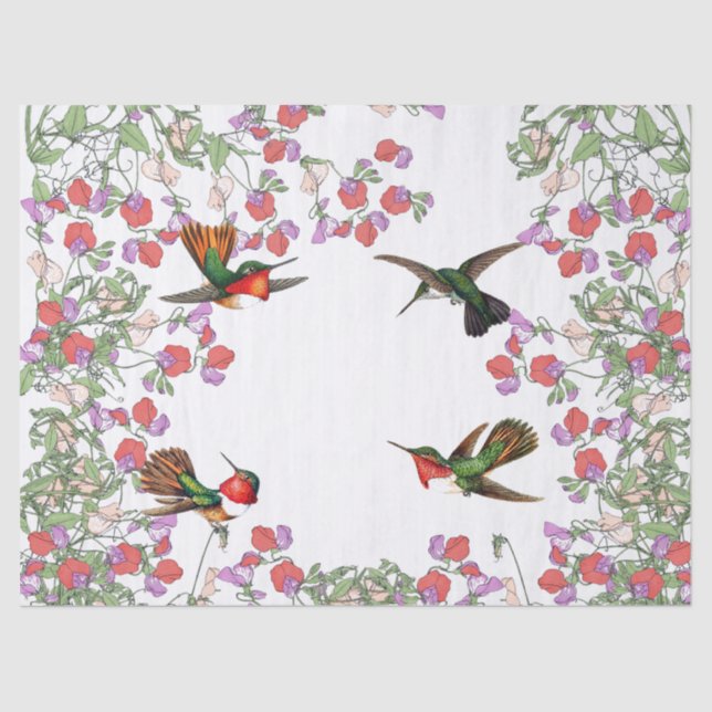 Hummingbird Birds Sweet Pea Flower Tissue Paper (Front)