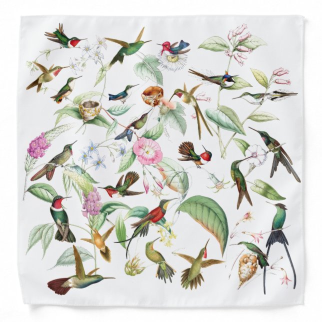 Hummingbird Birds Wildlife Animal Flowers Bandana (Front)