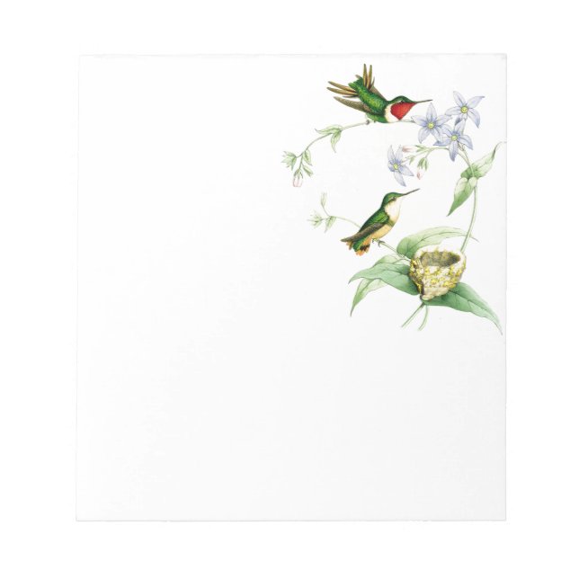Hummingbird Birds Wildlife Animals Flowers Floral Notepad (Front)