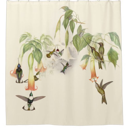 Hummingbird Birds Wildlife Animals Flowers Floral Shower Curtain