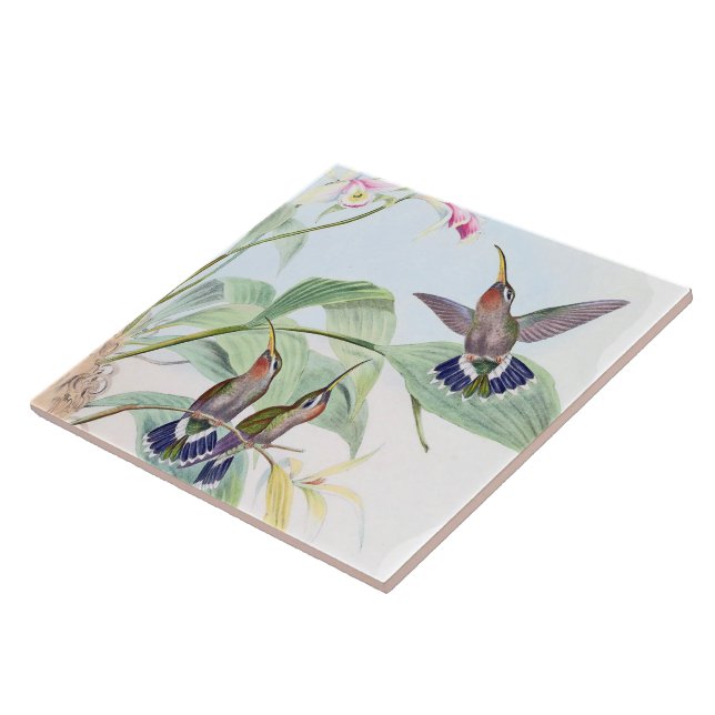 Hummingbird Birds Wildlife Animals Flowers Tile (Side)