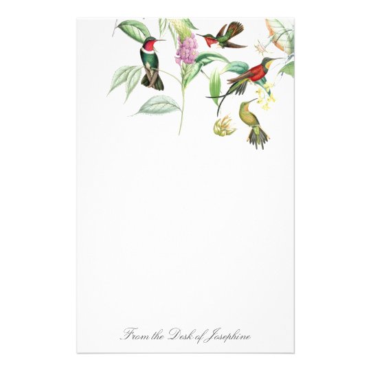 Hummingbird Birds Wildlife Floral Stationery