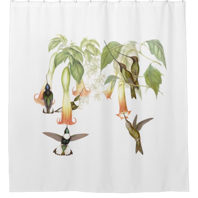 Hummingbird Birds Wildlife Flower Floral Garden Shower Curtain (Front)
