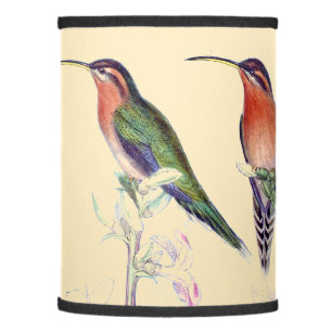 Hummingbird Birds Wildlife Flower Floral Gould Lamp Shade