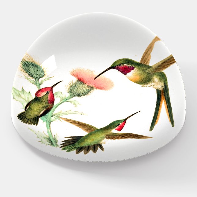 Hummingbird Birds Wildlife Flower Paperweight (Angled)
