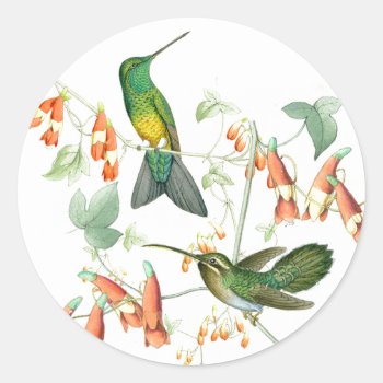 Hummingbird Birds Wildlife Flowers Animals Floral Classic Round Sticker by farmer77 at Zazzle