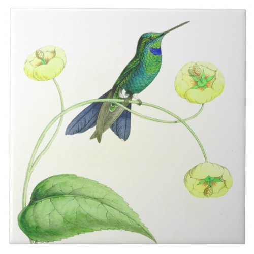 Hummingbird Birds Wildlife Flowers Floral Animals Ceramic Tile
