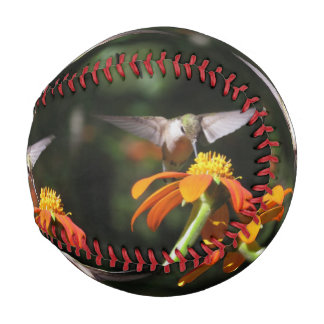 Hummingbird Birds Wildlife Flowers Floral Baseball