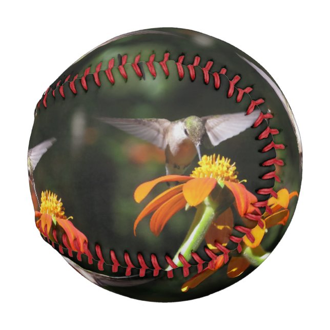 Hummingbird Birds Wildlife Flowers Floral Baseball (Back Left)