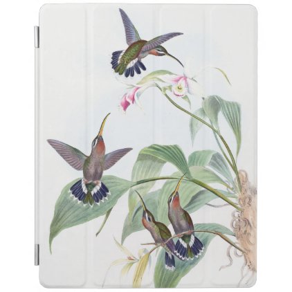 Hummingbird Birds Wildlife Flowers Ipad Cover