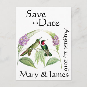 Hummingbird Birds Wildlife Flowers Save the Date Announcement Postcard