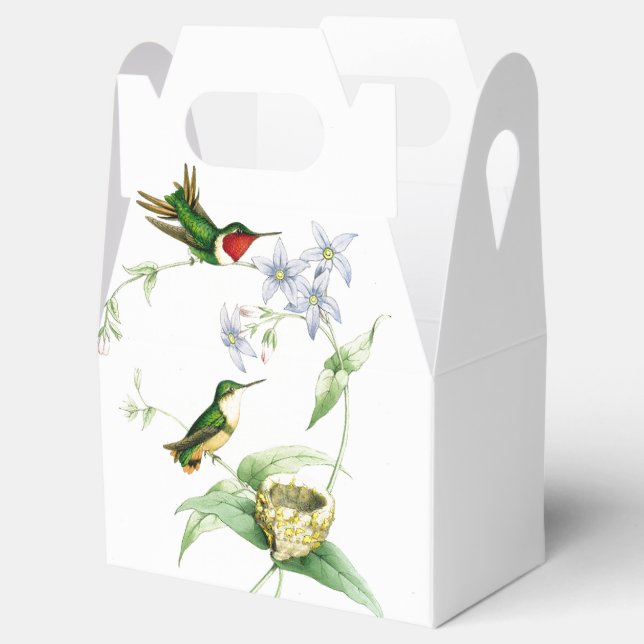 Hummingbird Birds Wildlife Nest Animal Flowers Favor Boxes (Opened)