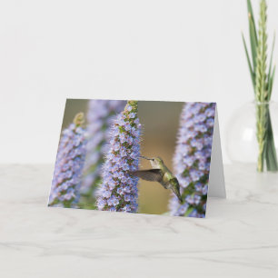 Hummingbird Birthday Card