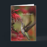 Hummingbird Birthday card<br><div class="desc">Hummingbirds are birds native to the Americas and comprise the biological family Trochilidae. With approximately 366 species and 113 genera, they occur from Alaska to Tierra del Fuego, but most species are found in Central and South America. As of 2024, 21 hummingbird species are listed as endangered or critically endangered,...</div>