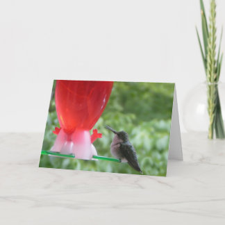 Hummingbird Birthday Card