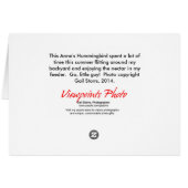 Hummingbird Blank Cards (Back Horizontal)