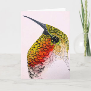 Hummingbird - Blank inside greeting card