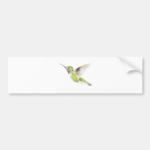 Hummingbird Bumper Sticker