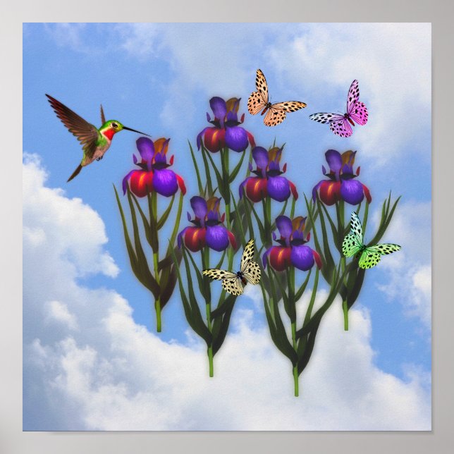 Hummingbird Butterflies Iris Flowers Poster (Front)