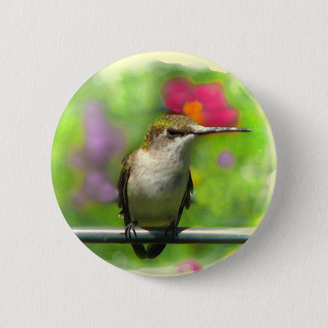 Hummingbird Button (Front)