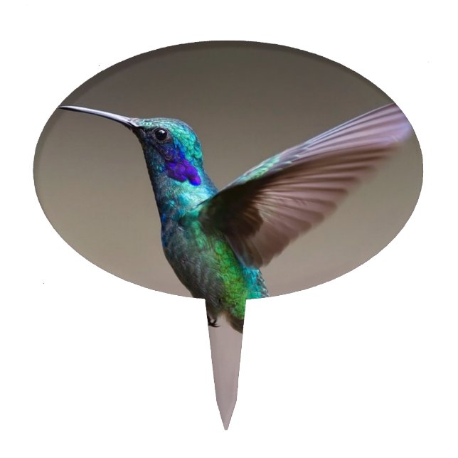 Hummingbird Cake Topper (Front)