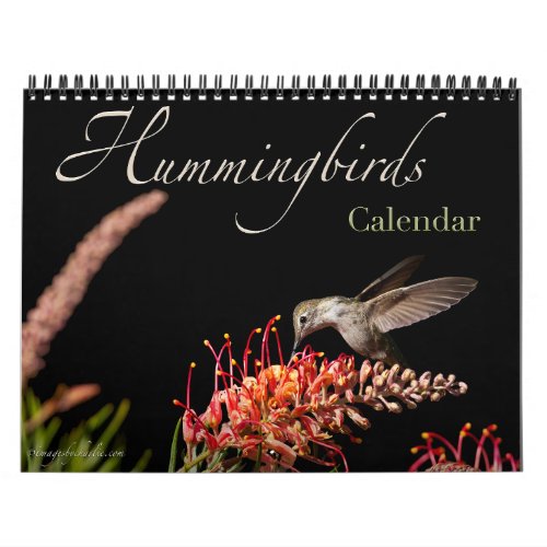 Hummingbird Calendar 2024 or pick any Start Date