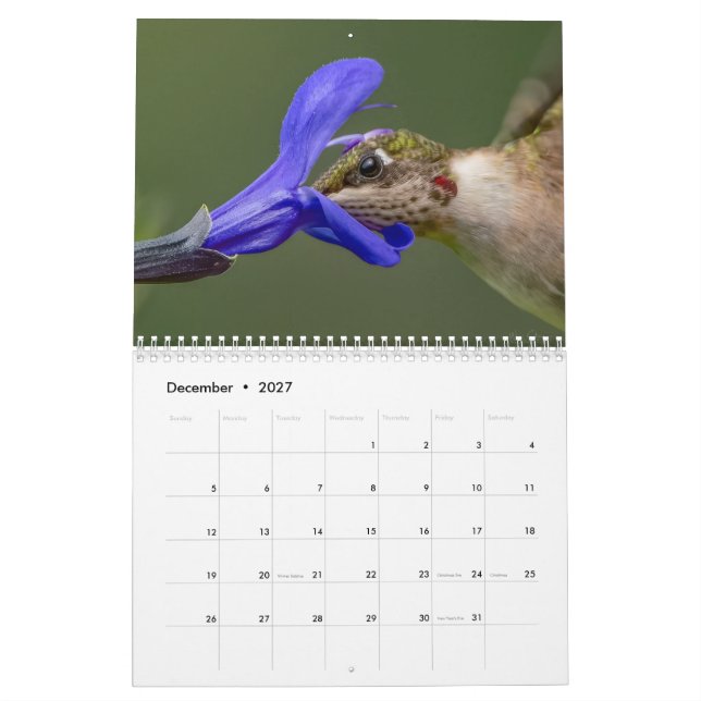 Hummingbird calendar with unique images (Dec 2027)