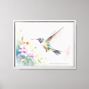 Hummingbird Canvas Print