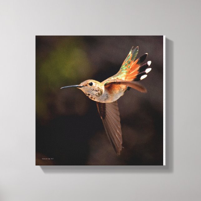 Hummingbird Canvas Print (Front)