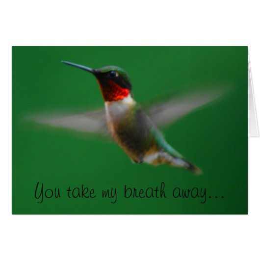 Hummingbird Card (Front Horizontal)