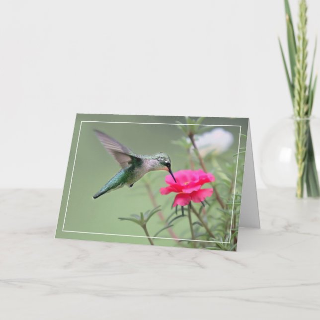 Hummingbird Card (Front)