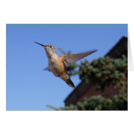 Hummingbird Card (Front Horizontal)