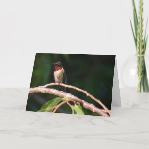 Hummingbird Card