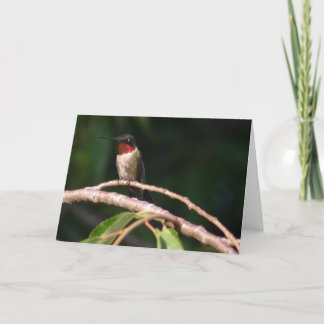 Hummingbird Card