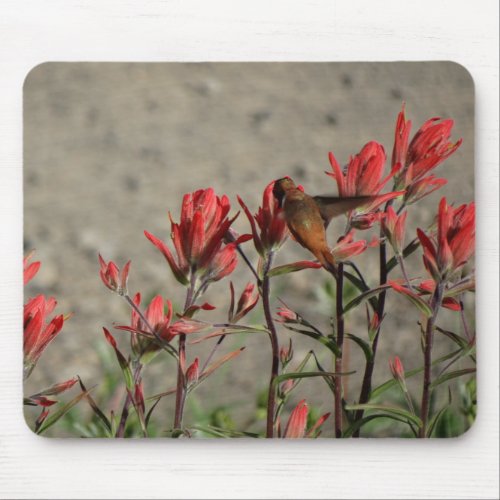 Hummingbird cardinal flowers mouse pad