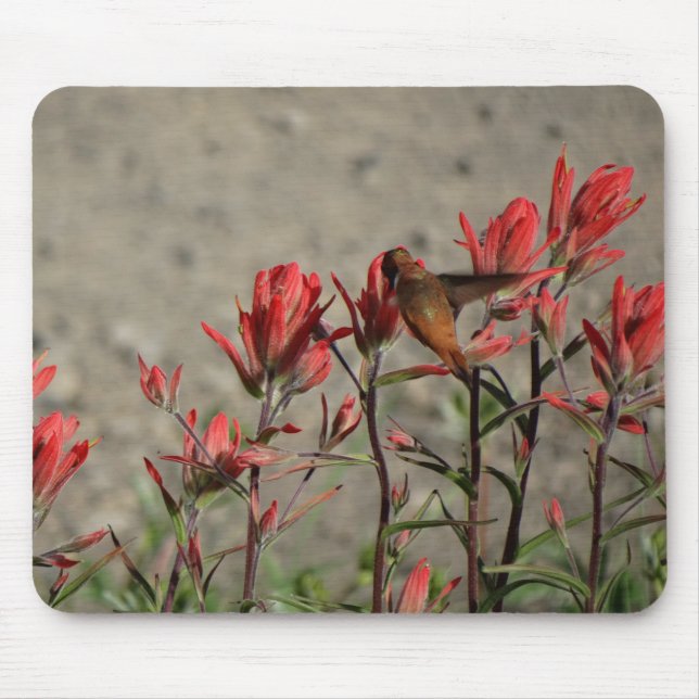 Hummingbird cardinal flowers mouse pad (Front)