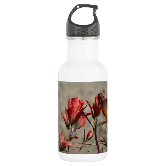 Hummingbird cardinal flowers water bottle (Front)