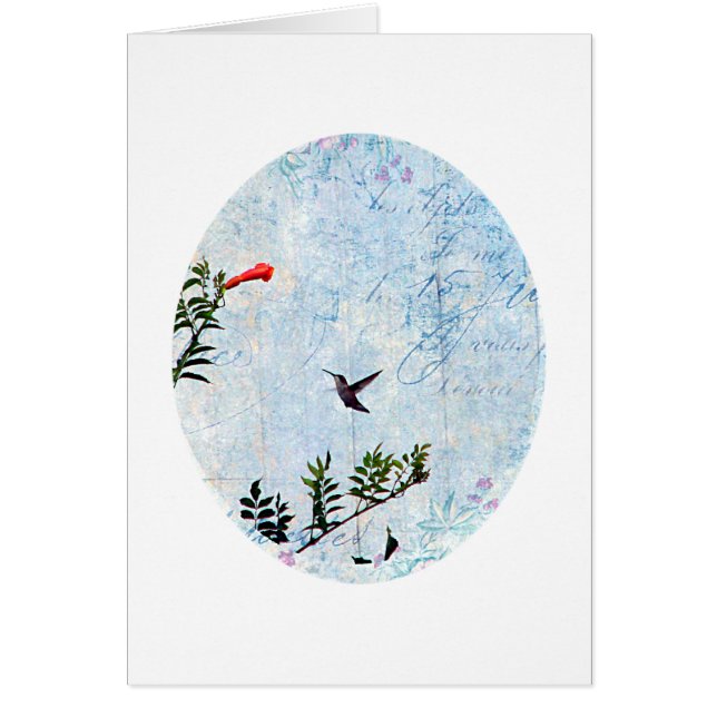 Hummingbird Cards (Front)