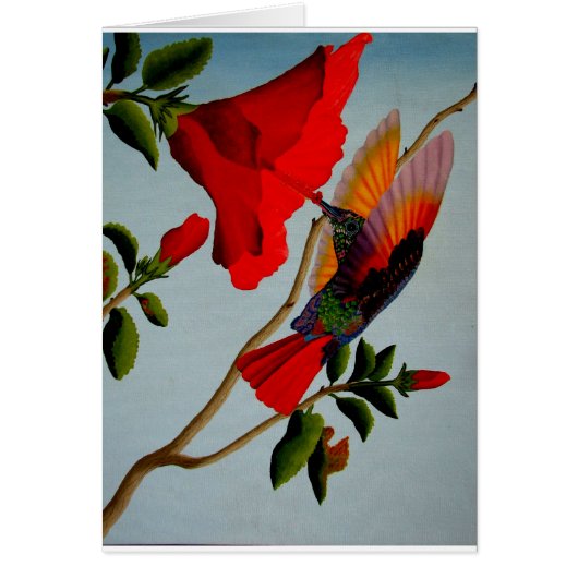 Hummingbird Cards (Front)